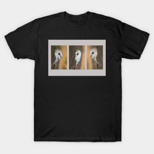 Barn Owl Triptych T-Shirt